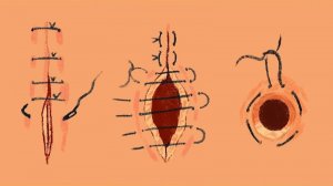 20 трюков, которые помогут вам выжить в смертельной ситуации