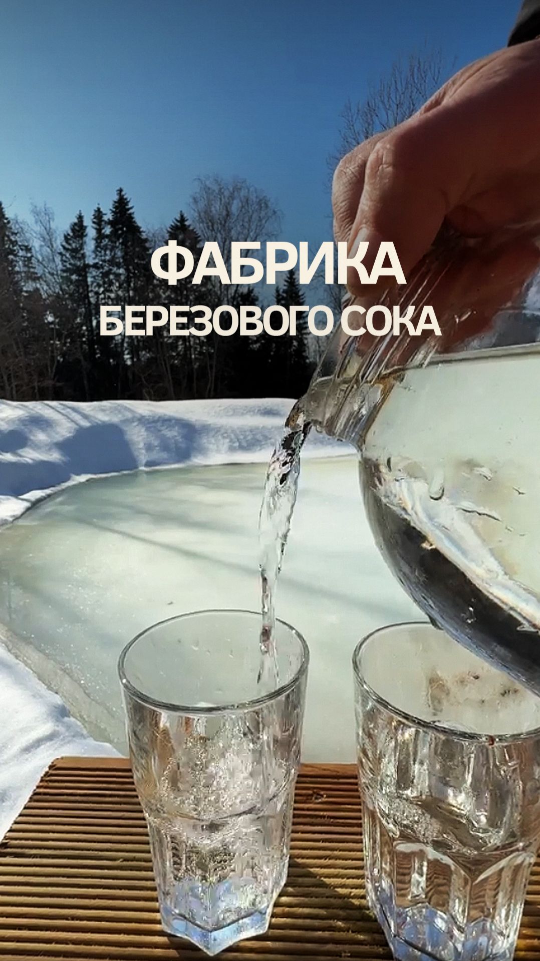 Фабрика березового сока