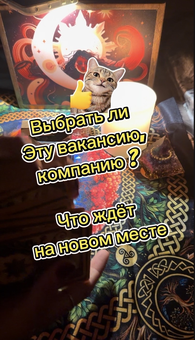 Перспектива на новой работе. Соглашаться ли на новую работу? Трудоустройство