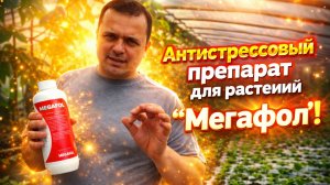 Как помочь растениям перенести стресс. Мегафол.