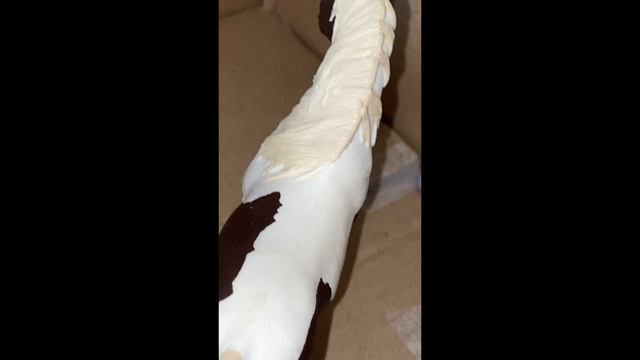 день конюха часть 2🐎