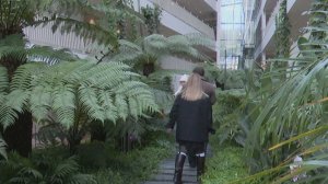 В 2025 году в Сочи собрали 853 миллиона рублей туристического налога