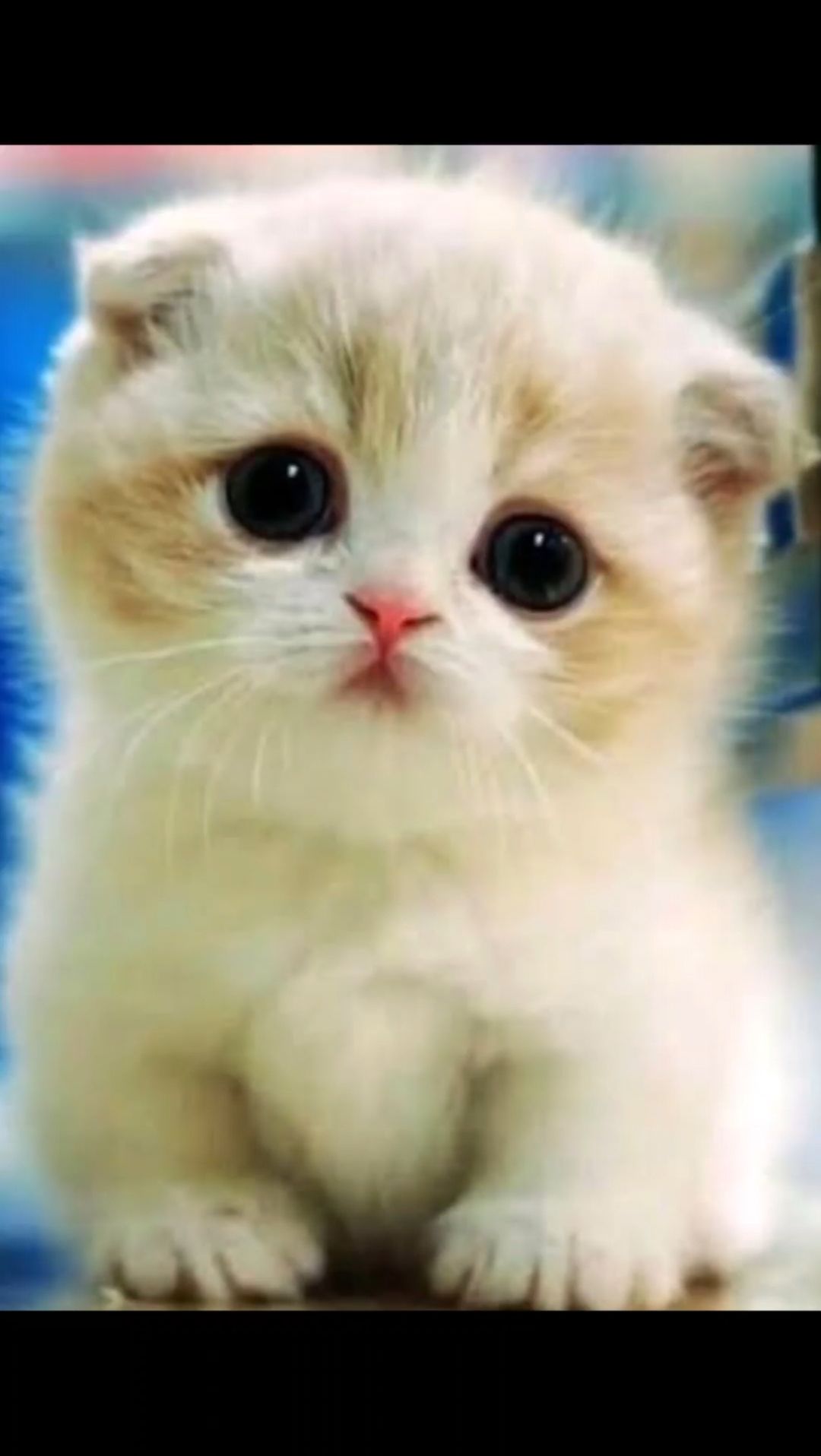 Вы не сможете остаться равнодушными после этой милоты🥰