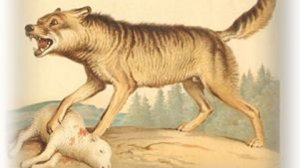 " По воле  случая"- читает автор Галина Катрачёва