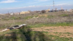 Расскажу чем я обрабатываю свои розы!  Да все как я живу !