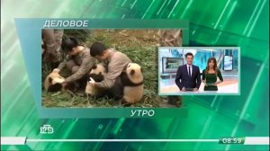 Конец эфира (НТВ +7, 18.10.17)