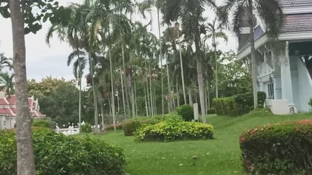 ТАЙЛАНД . ПАТТАЙЯ . ХРАМОВО-ПАРКОВЫЙ  КОМПЛЕКС ВАТ ЯН