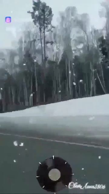 Нестареющее племя