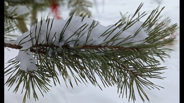 Игорь Северянин. Я не лгал