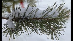 Игорь Северянин. Я не лгал