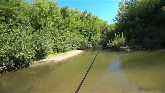 ОТЛИЧНЫЙ УТРЕННИЙ МОРМЫШИНГ