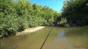 ОТЛИЧНЫЙ УТРЕННИЙ МОРМЫШИНГ