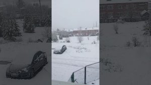 Вчера было жарко и солнечно, а сегодня гляди, снова зима!