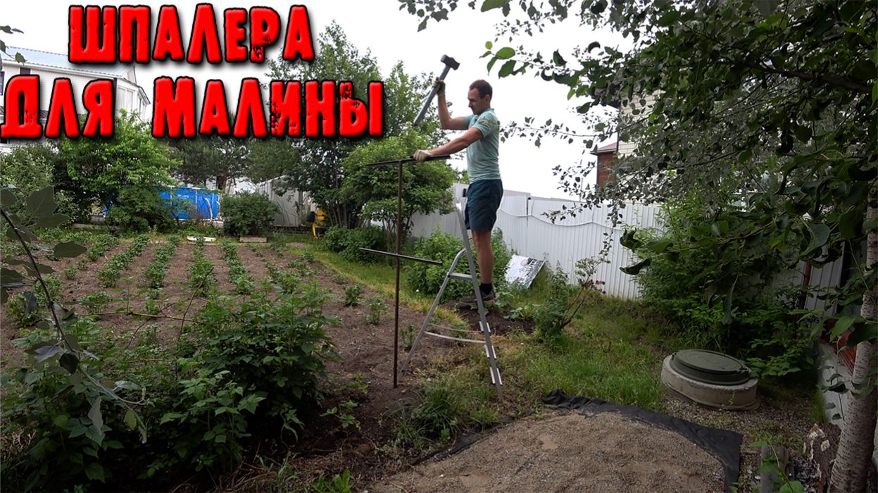 Шпалера для малины из уголка и трубы. День рождения наших детей и как всегда стройка.