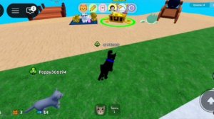 играю в Игру с котятами 1 часть ﹤﹤﹤РБ﹥﹥﹥