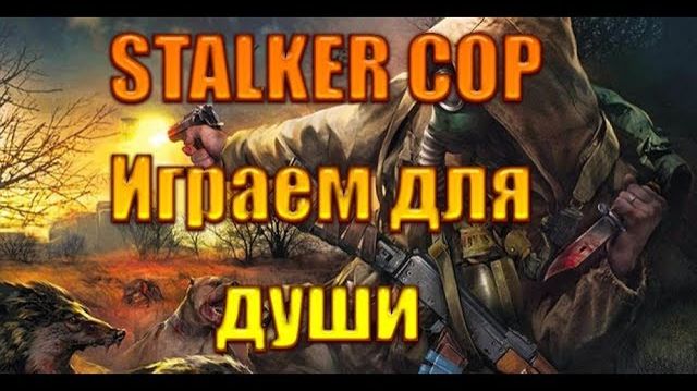 STALKER Call of Pripyat-Ночной стрим.