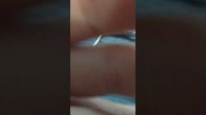 67 трансляция