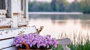 Половодье на реках Ока и Москва. Пик пройден!