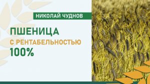 Директор ООО «АПК Виктория» Николай Чуднов о прибыльном зерне при малой урожайности