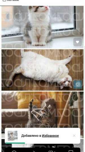 Отбор фотографий для альбома