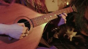 Alinа Gingеrtаil/Aлина Pыжкхвост - Hades - Lament of Orpheus