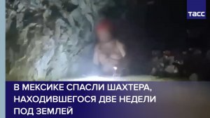 В Мексике спасли шахтера, находившегося две недели под землей
