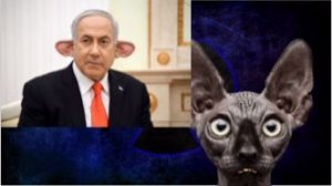 Обстановка на 09.04.26 / Кот Костян