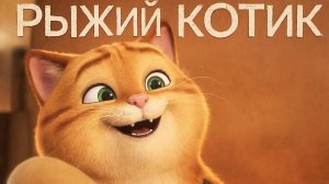 Музыкальный мультфильм для детей | котик Толстопуз🐱