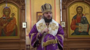 Божественная литургия в соборе Казанской иконы Божией Матери