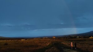 Первый весенний дождь. ☔☔☔Короткий ролик для настроения🌿🌿🌿