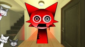 Злая спрунки Венда фаза лечения Венды