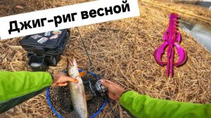 Весенняя ЩУКА на ДЖИГ-РИГ.