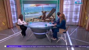 Домашние питомцы и отпуск: как подготовить хвостика к разлуке или совместному путешествию