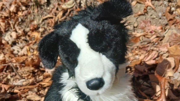 мои любимые каналы