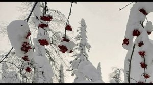 Игорь Северянин.  Моя Россия