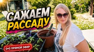 Пикируем и болтаем. На даче.