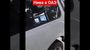 НИВА В ЭМИРАТАХ