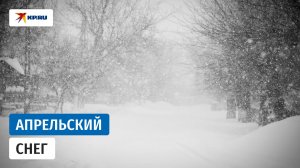 В Москве выпал апрельский снег