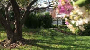 Метафора - гимн