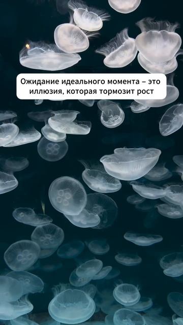 Действие создаёт ясность, а не наоборот 👇 #мотивация #заработок #деньги #успех #бизнес #здоровье