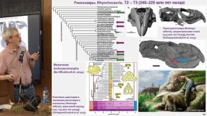 Журавлев А.Ю. - Основы палеонтологии - 8. Формирование наземных сообществ. Мезозойская эра
