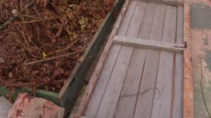 30.03.2026 г. Волгоград. Ранняя весна. Работы на даче