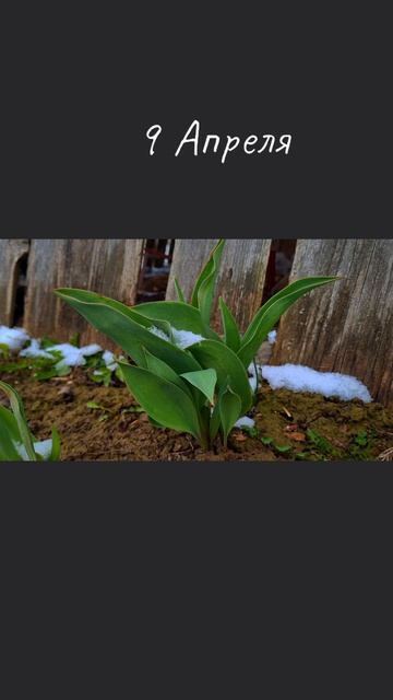 Music #Таймлапс #Relaxmusic

#Relax #музыка #расслабься

#красиво