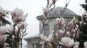 В Севастополе за 9 дней апреля выпала месячная норма по осадкам