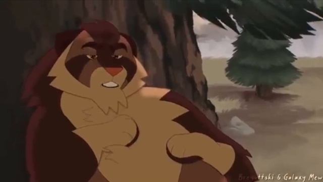 коты воители эдит коршун и ежевика