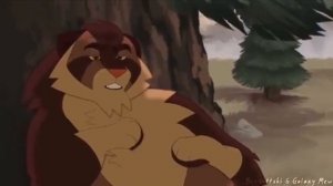 коты воители эдит коршун и ежевика