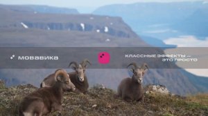 Плато Путорана