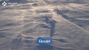 Айылҕа тыллара Языковые ролики