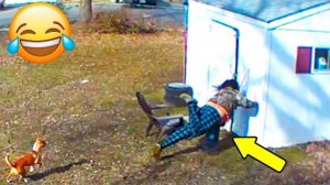 ПОДБОРКА ПРИКОЛОВ Я РЖАЛ ДО СЛЕЗ, ЛУЧШИЕ ПРИКОЛЫ 2026 СМЕШНЫЕ ВИДЕО, ДЕВУШКИ , ПОДБОРКА ПРИКОЛОВ