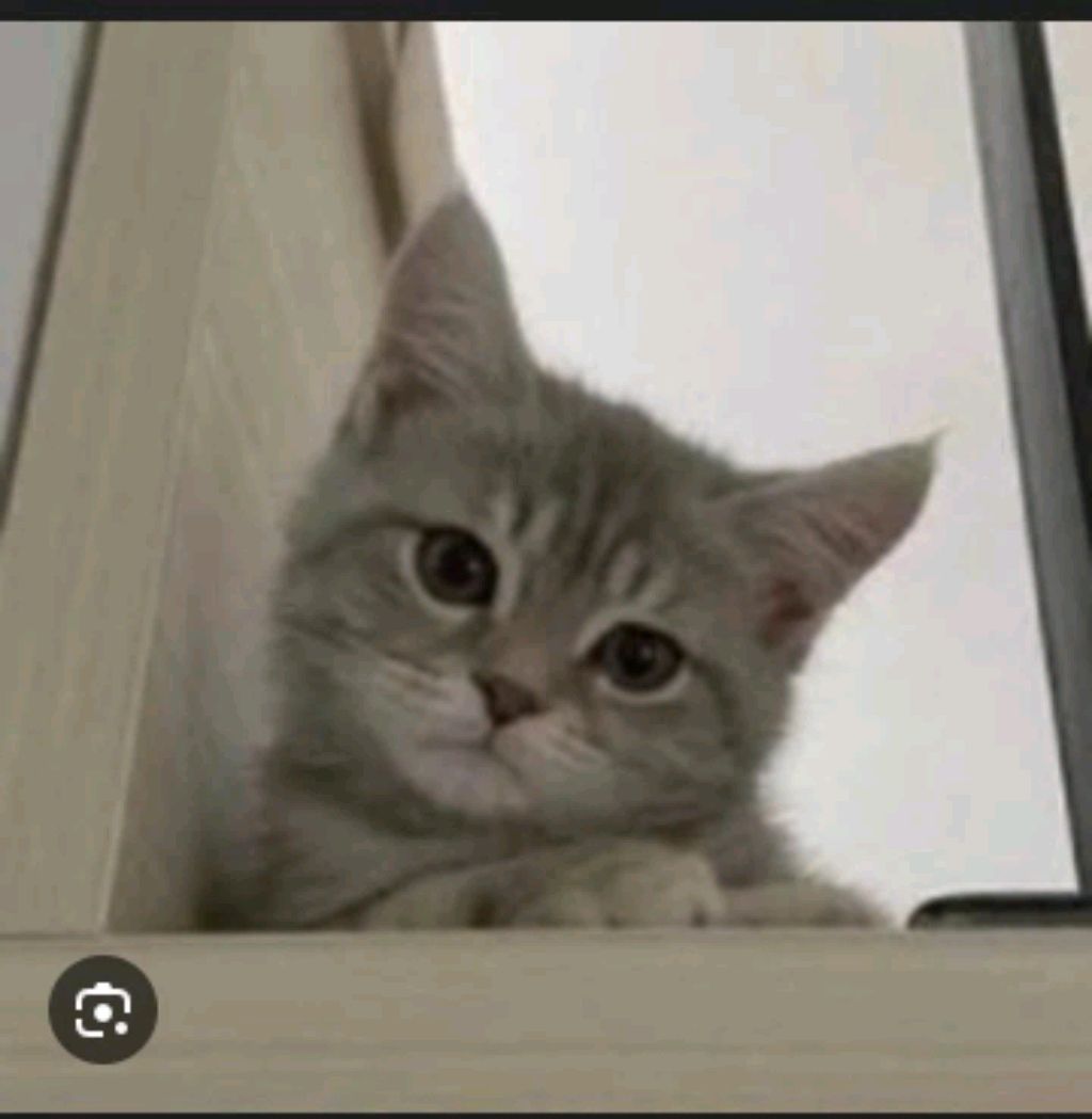 буду показывать лицо